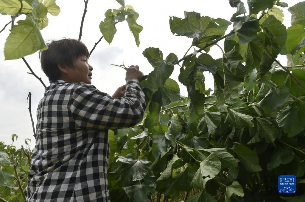 无需申请开户自动送68